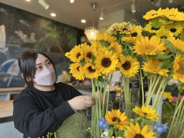 ひまわり|「ハーベスト　ガーデン」　（山口県萩市の花屋）のブログ