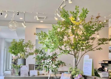 初夏の枝物｜「ハーベスト　ガーデン」　（山口県萩市の花キューピット加盟店 花屋）のブログ