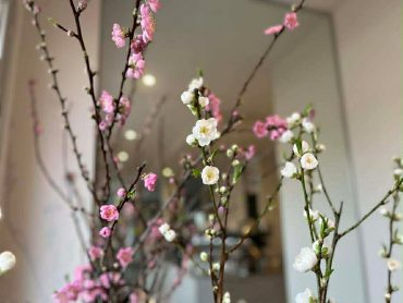 「雨水（うすい）」|「ハーベスト　ガーデン」　（山口県萩市の花屋）のブログ