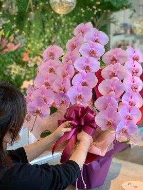 当選のお祝い|「ハーベスト　ガーデン」　（山口県萩市の花屋）のブログ