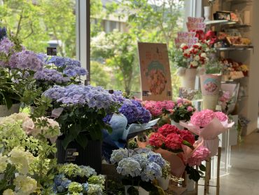 母の日の贈り物｜「ハーベスト　ガーデン」　（山口県萩市の花キューピット加盟店 花屋）のブログ